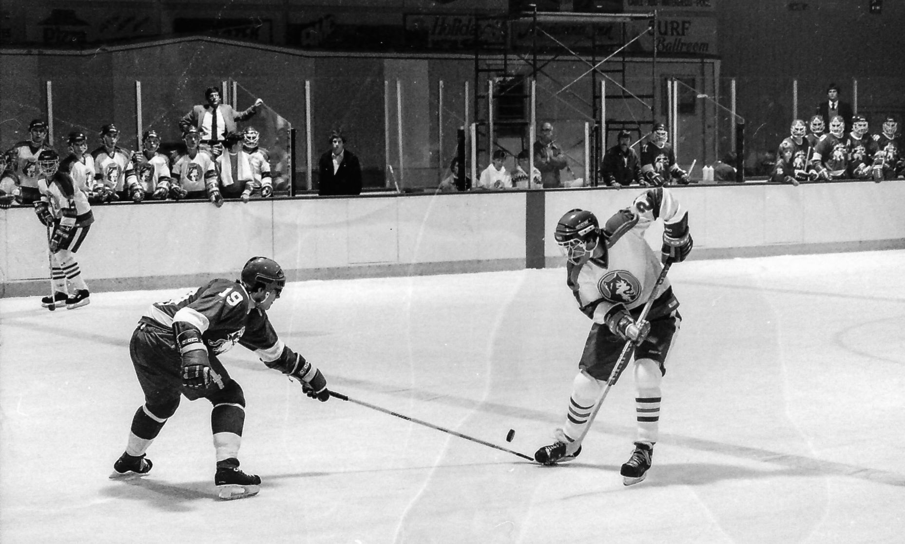 Hockey at North Iowa Arena 15